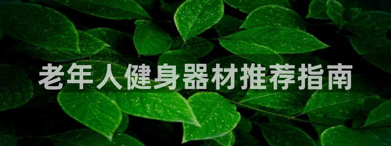 龙8国际-我的